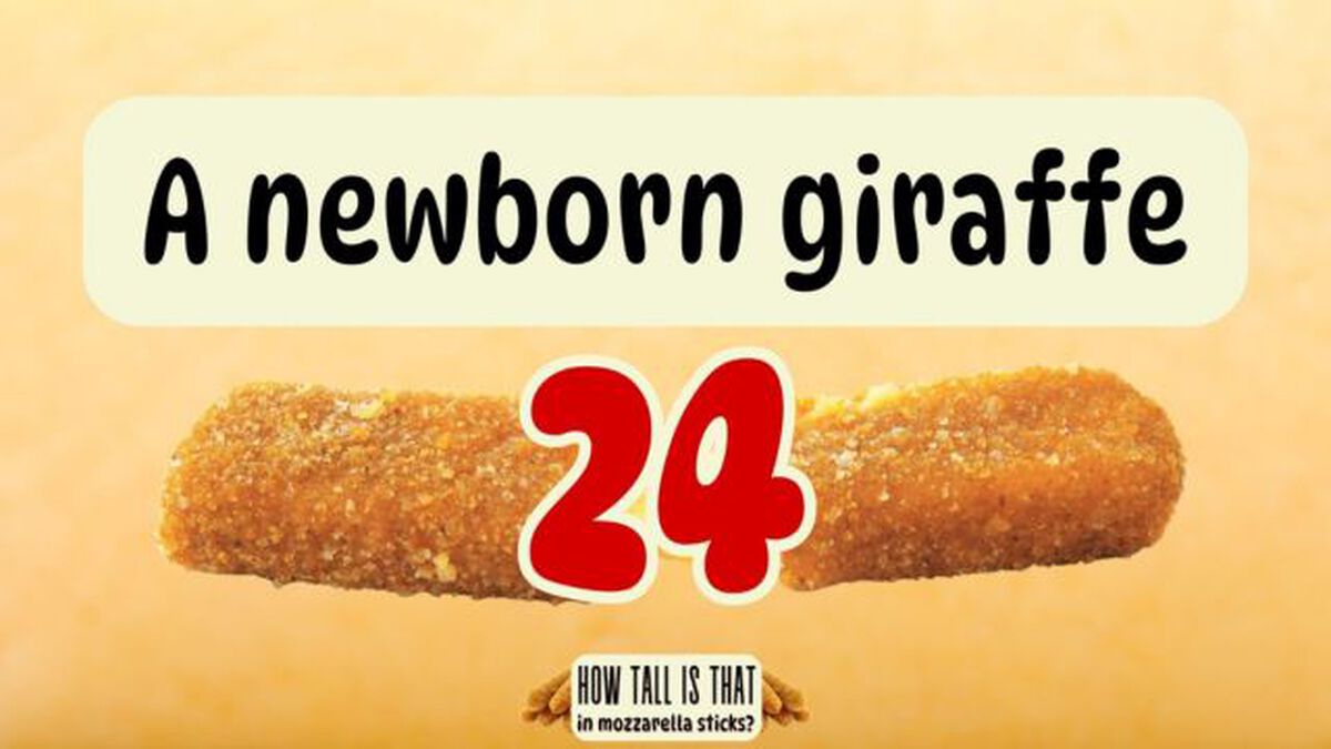 How Tall is That in Mozzarella Sticks? image number null